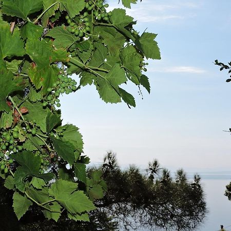 Apartment Bambi Opatija Dış mekan fotoğraf